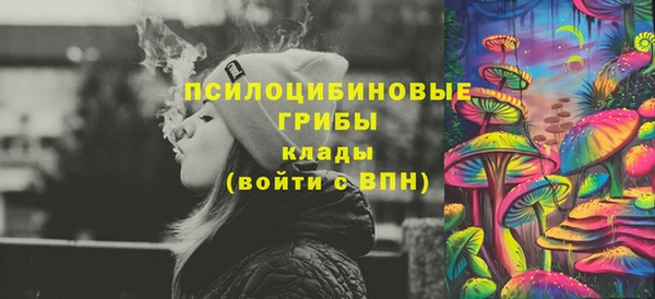 прущий лед Аркадак