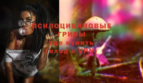 прущий лед Аркадак